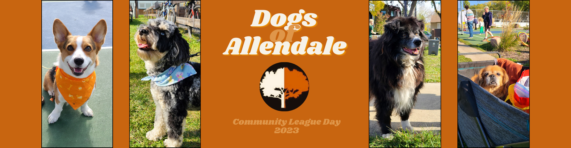 Dogs of Allendale 2023